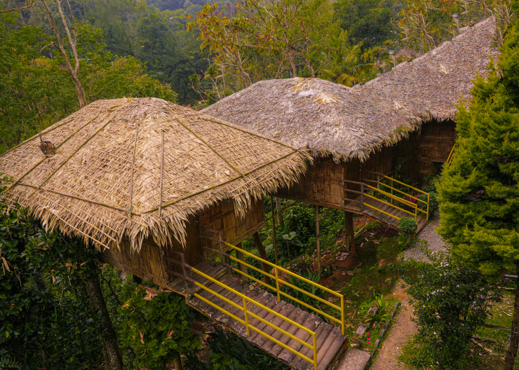 Best Treehouse Resort in Munnar, Idukki, Kerala Green Trees Munnar
